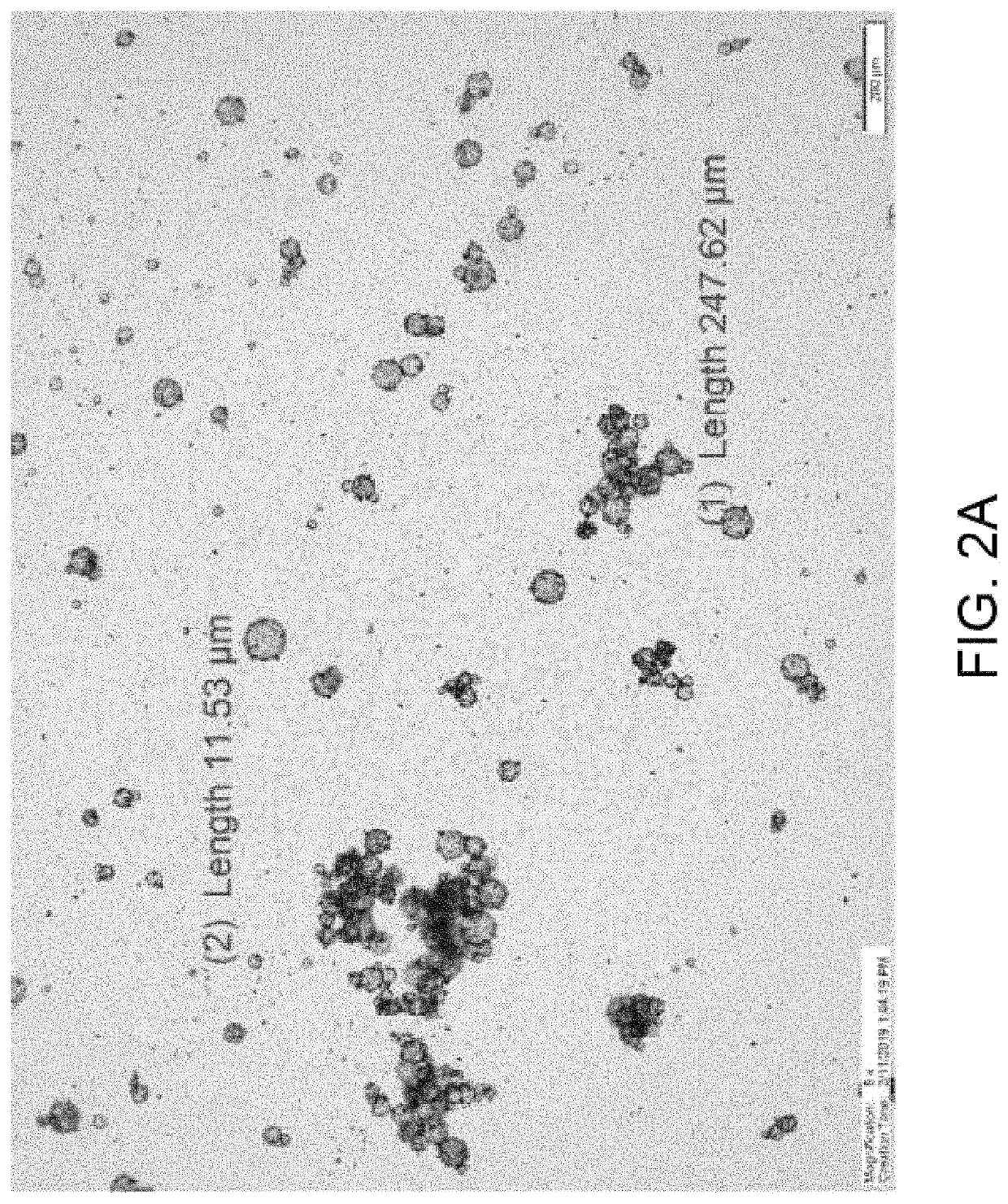 Method of delivery of dry polymeric microsphere powders for protecting concrete from freeze-thaw damage