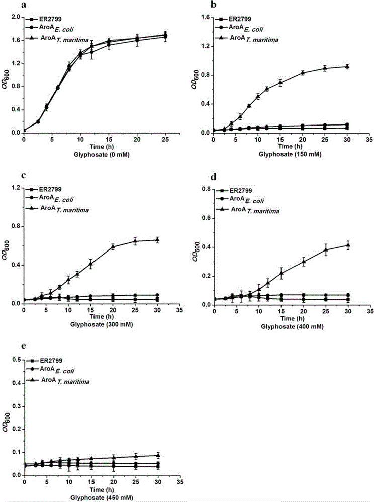 5-enolpyruvylshikimate-3-phosphate synthase gene derived from thermotoga maritima and application of gene