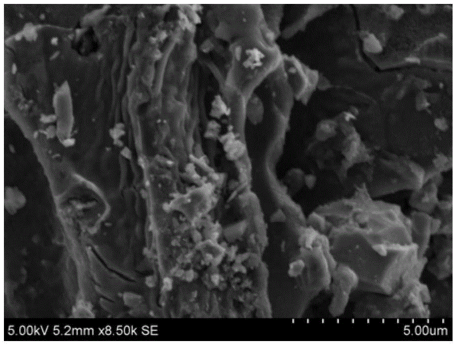 Antibacterial activated carbon nanocomposite material and preparation method thereof