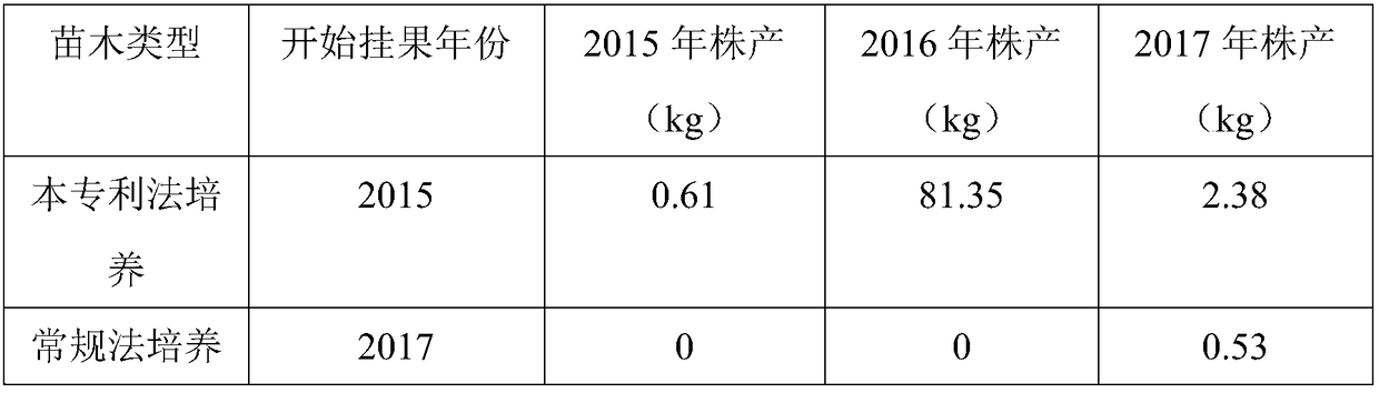 Method for promoting early fruiting of pecans