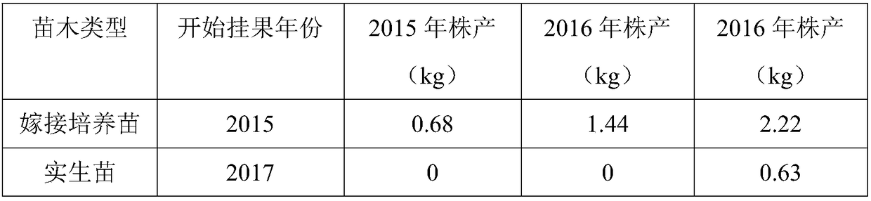 Method for promoting early fruiting of pecans