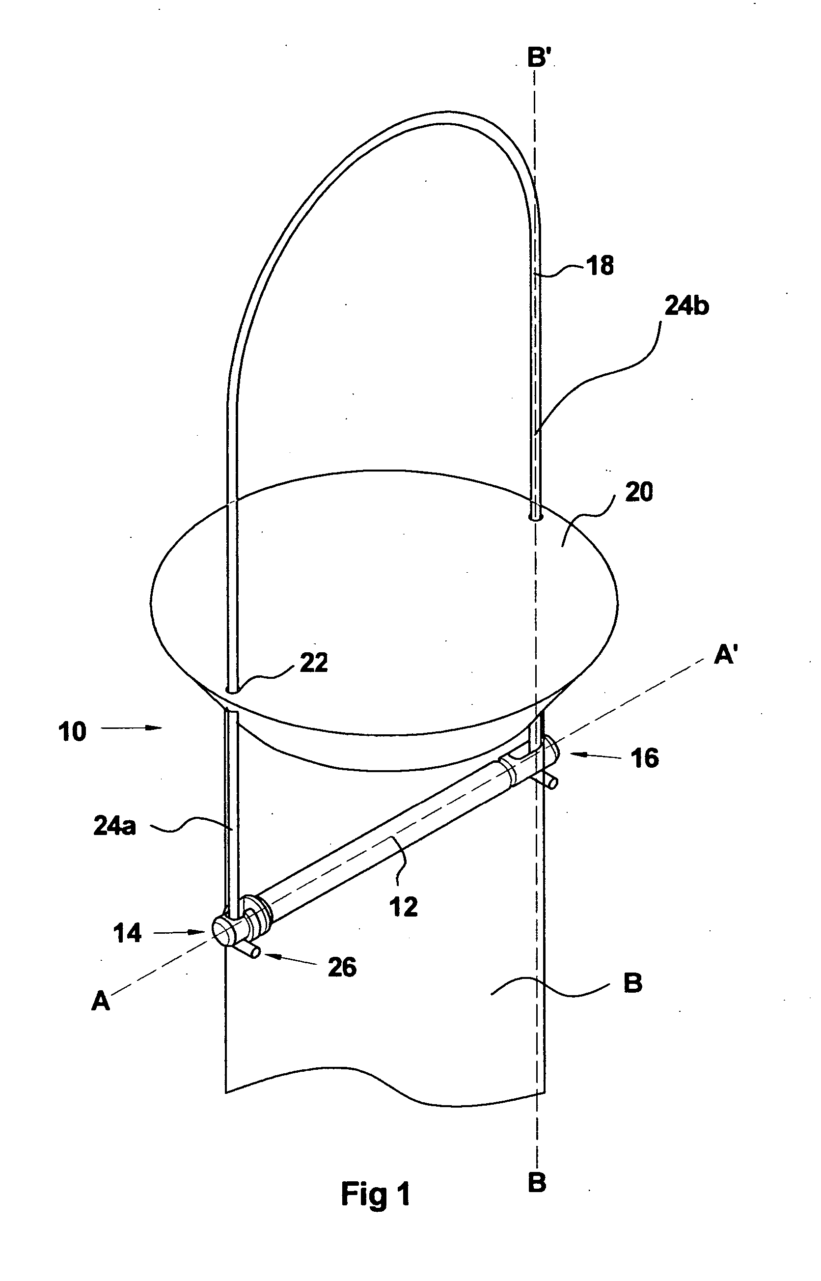 Bird feeding apparatus