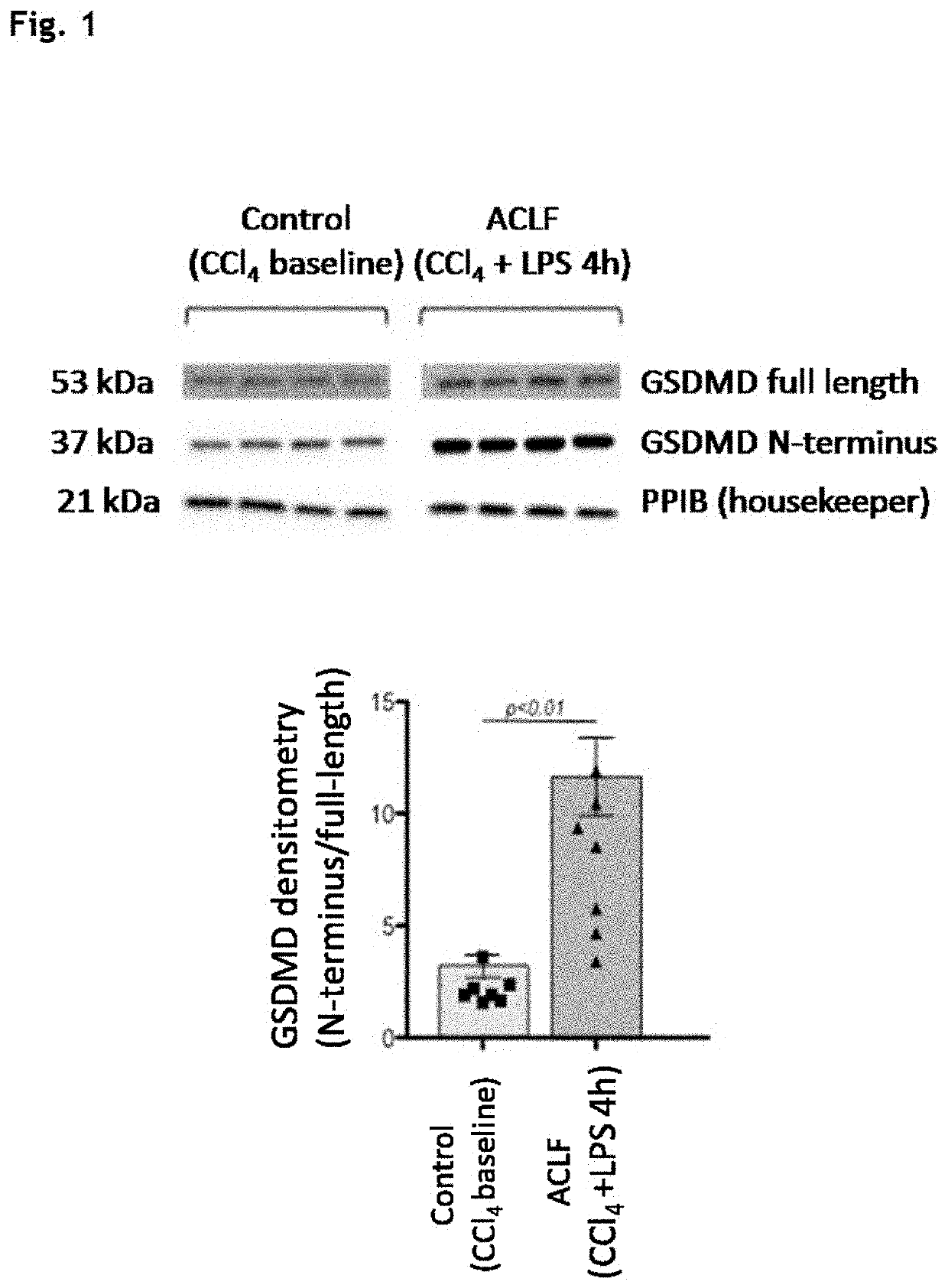 Treatment of pyroptosis