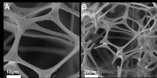 Preparation method of supercapacitor electrode material based on carbonized melamine foam-coated Bi2O3 nanosheets