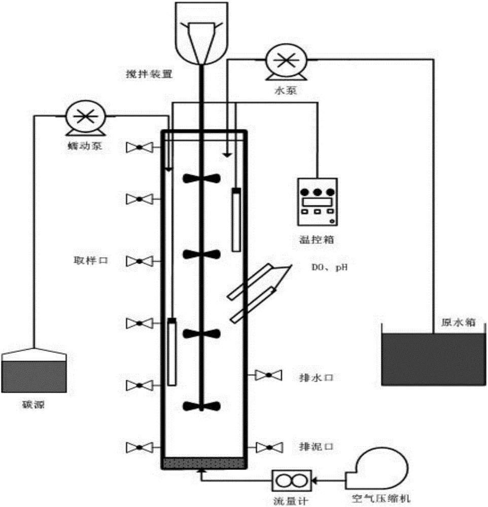 Method for predicating pH change on basis of neural network model to realize SBR short-cut nitrification