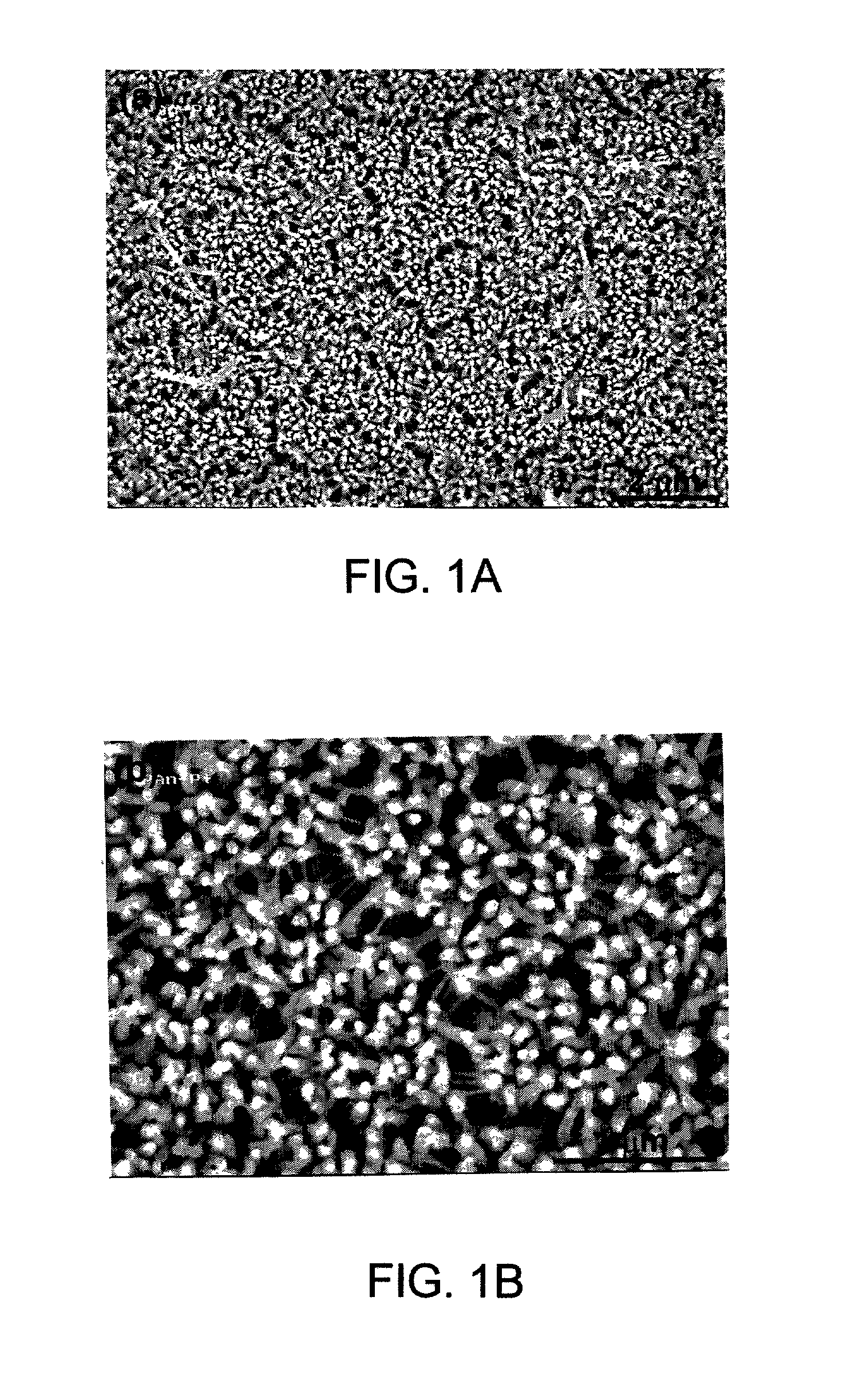 Electrosynthesis of nanofibers and nano-composite films