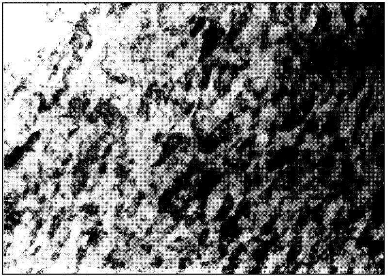 Method for forming nanometer gradient structure on surface layer of shaft metallic material