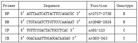 Polymerase chain reaction detection method of hepatitis B virus genotyping