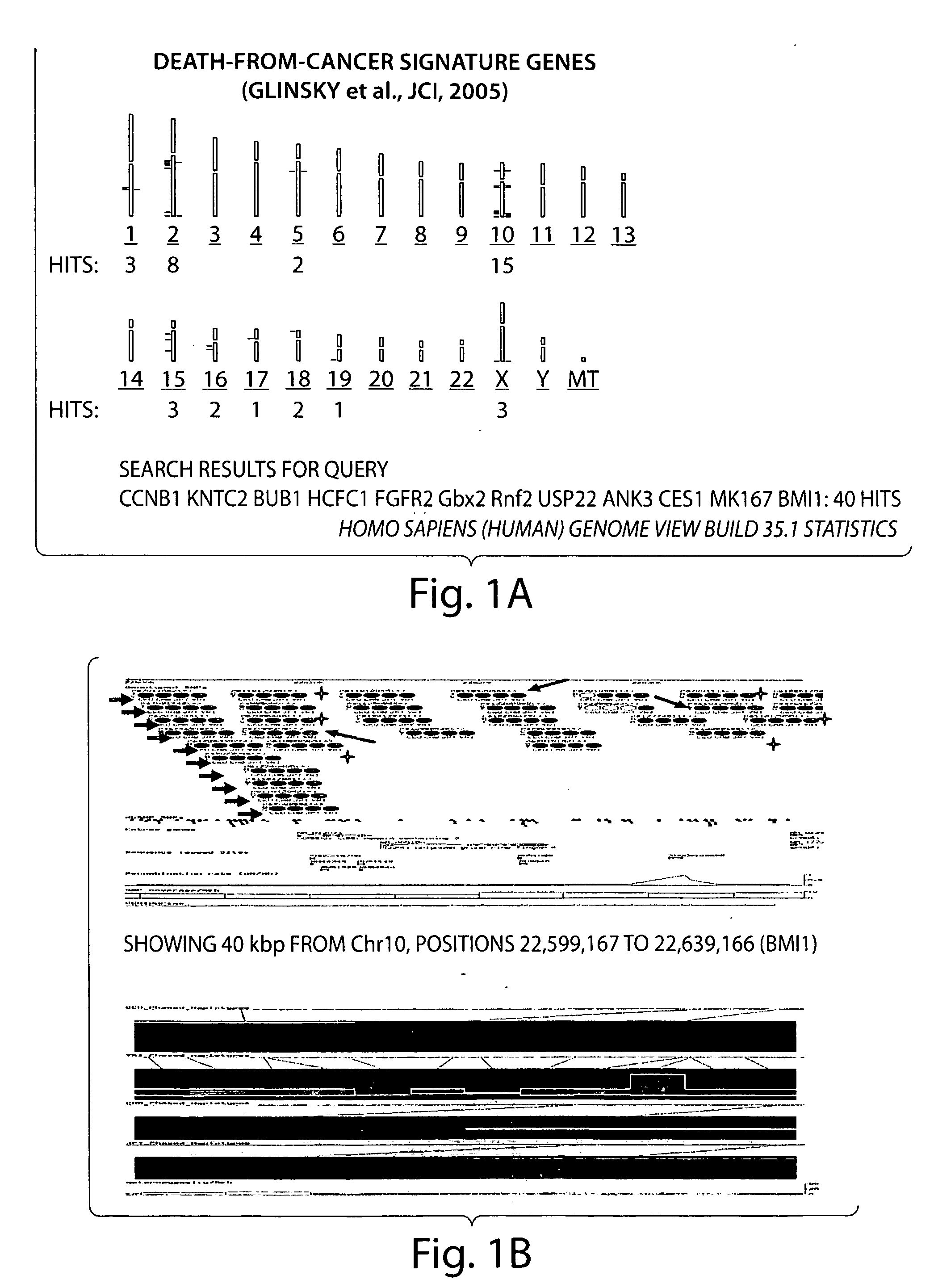 Prognostic and diagnostic method for disease therapy