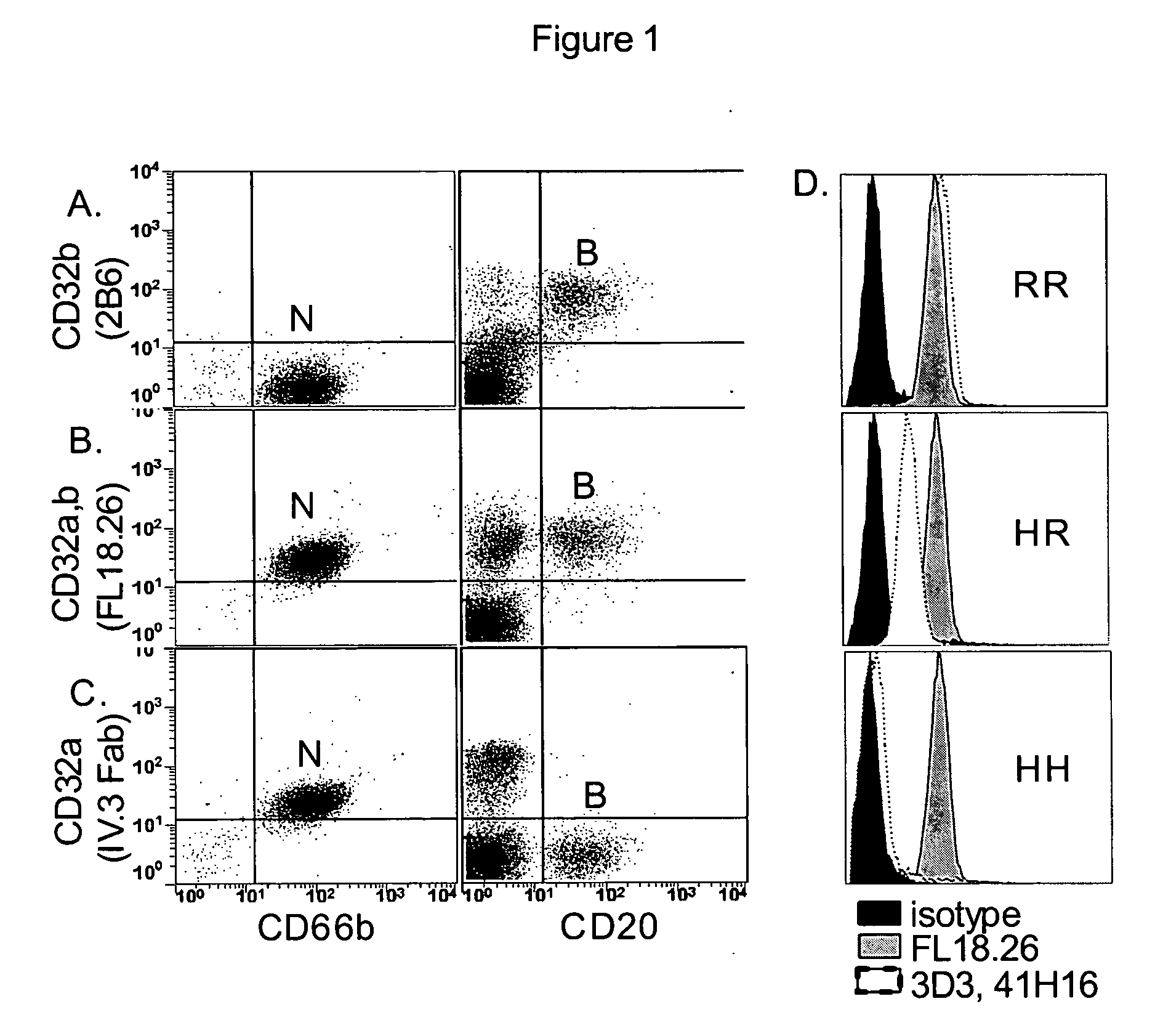 Modulation of Fc gamma receptors for optimizing immunotherapy