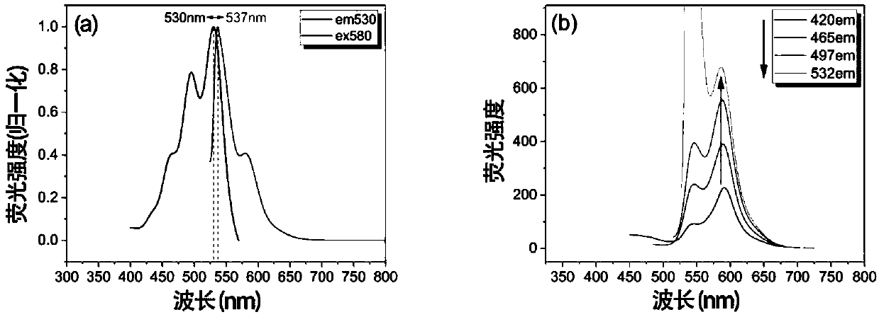 Special fluorescent anti-counterfeit material and preparing method and application thereof