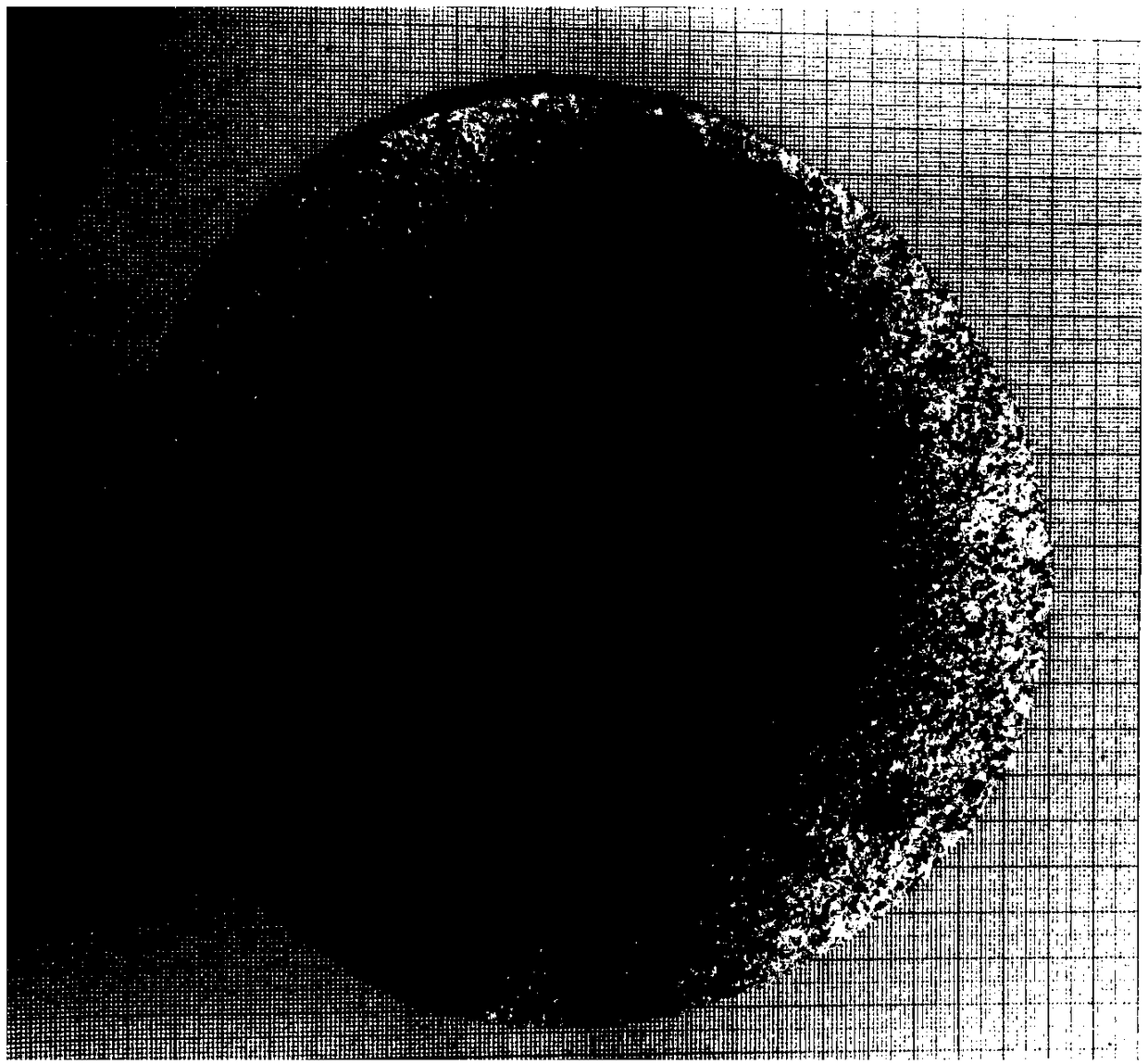 A paper type catalyst and a preparing method thereof