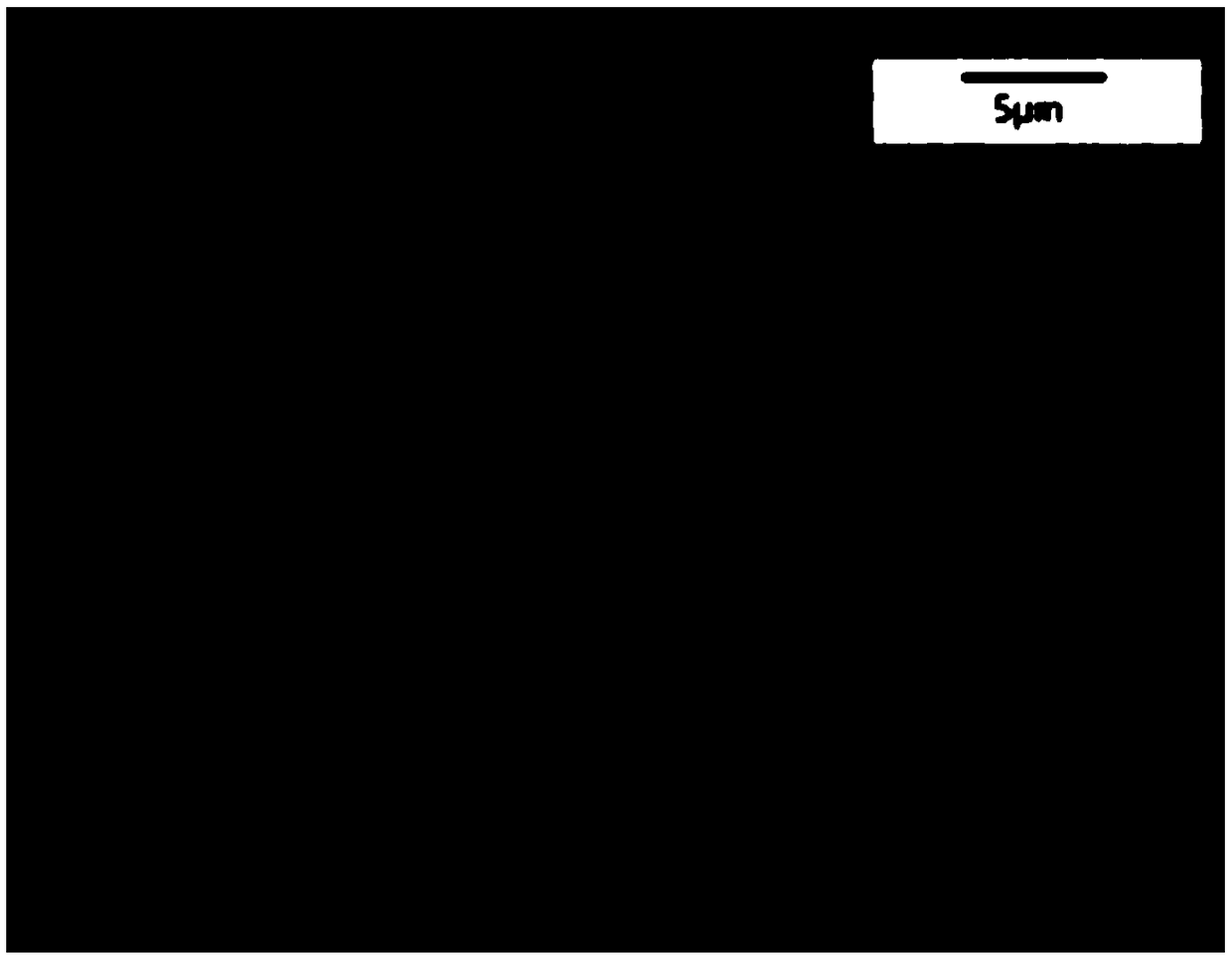 A paper type catalyst and a preparing method thereof