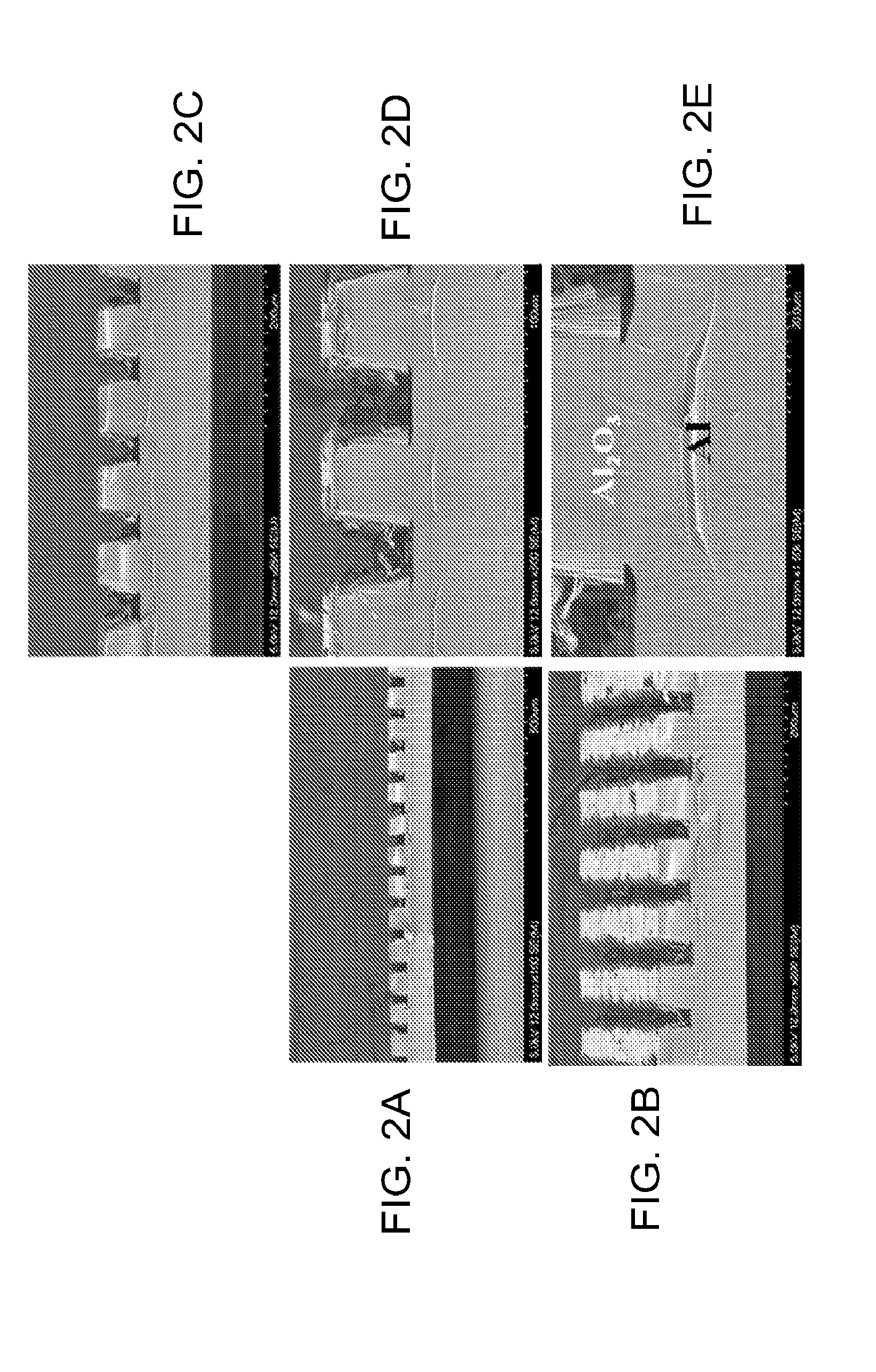 Microcavity and microchannel plasma device arrays in a single, unitary sheet