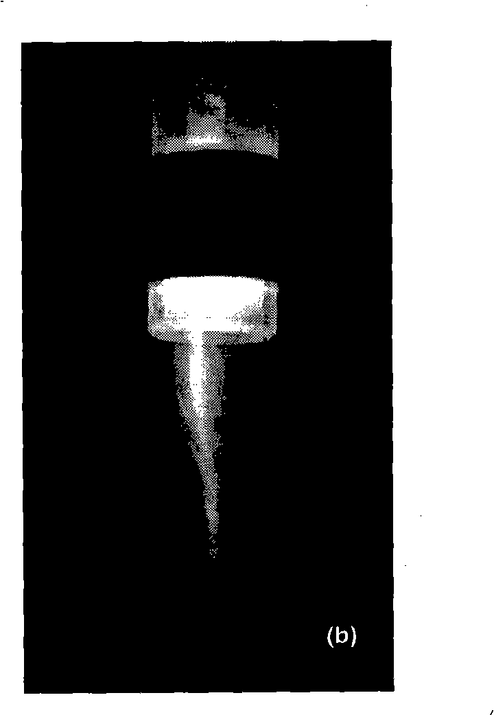 Jet apparatus capable of blocking discharging from generating low temperature plasma by atmos medium