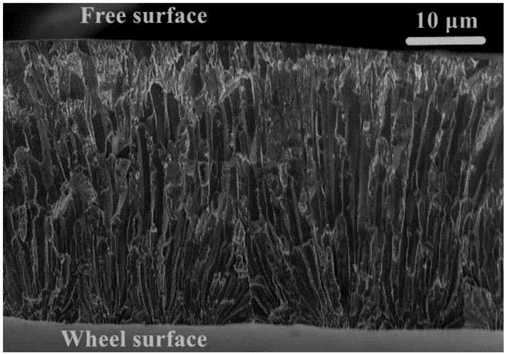 Downfield-driven oriented Mn-Ni-Sn magnetic refrigeration alloy material, and production method of ribbon thereof