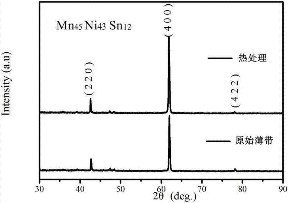 Downfield-driven oriented Mn-Ni-Sn magnetic refrigeration alloy material, and production method of ribbon thereof