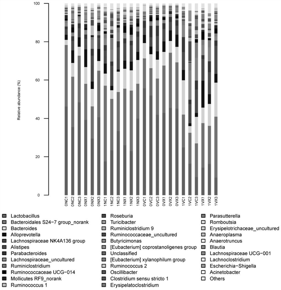 Method for evaluating biosafety by using mouse intestinal flora