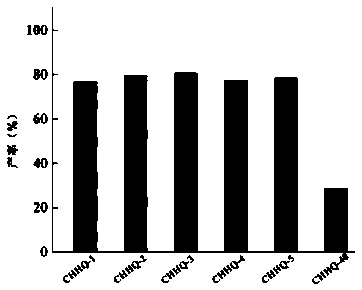 Electroactive degradable supermolecule microgel/medicine carrying supermolecule microgel and preparation method and application thereof