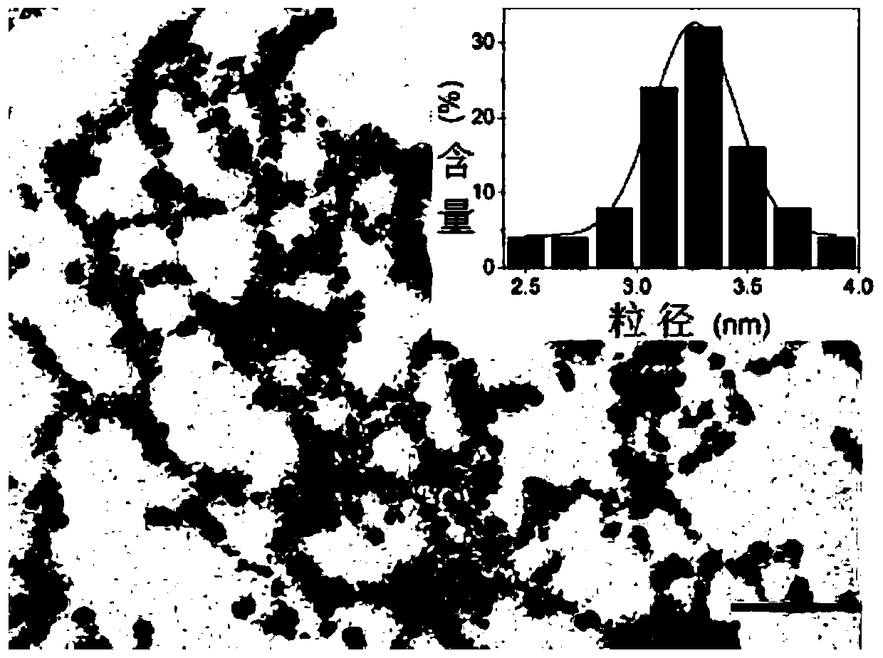 Preparation of composite fluorescent nanoprobe and method for detecting hydrogen peroxide by using composite fluorescent nanoprobe