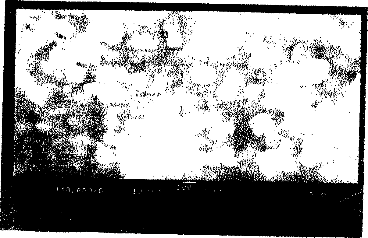 Nano-level water proof micro powder product and its preparation method