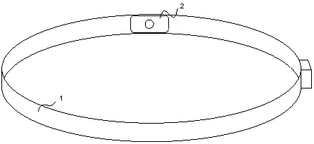 Body temperature monitoring device and monitoring method