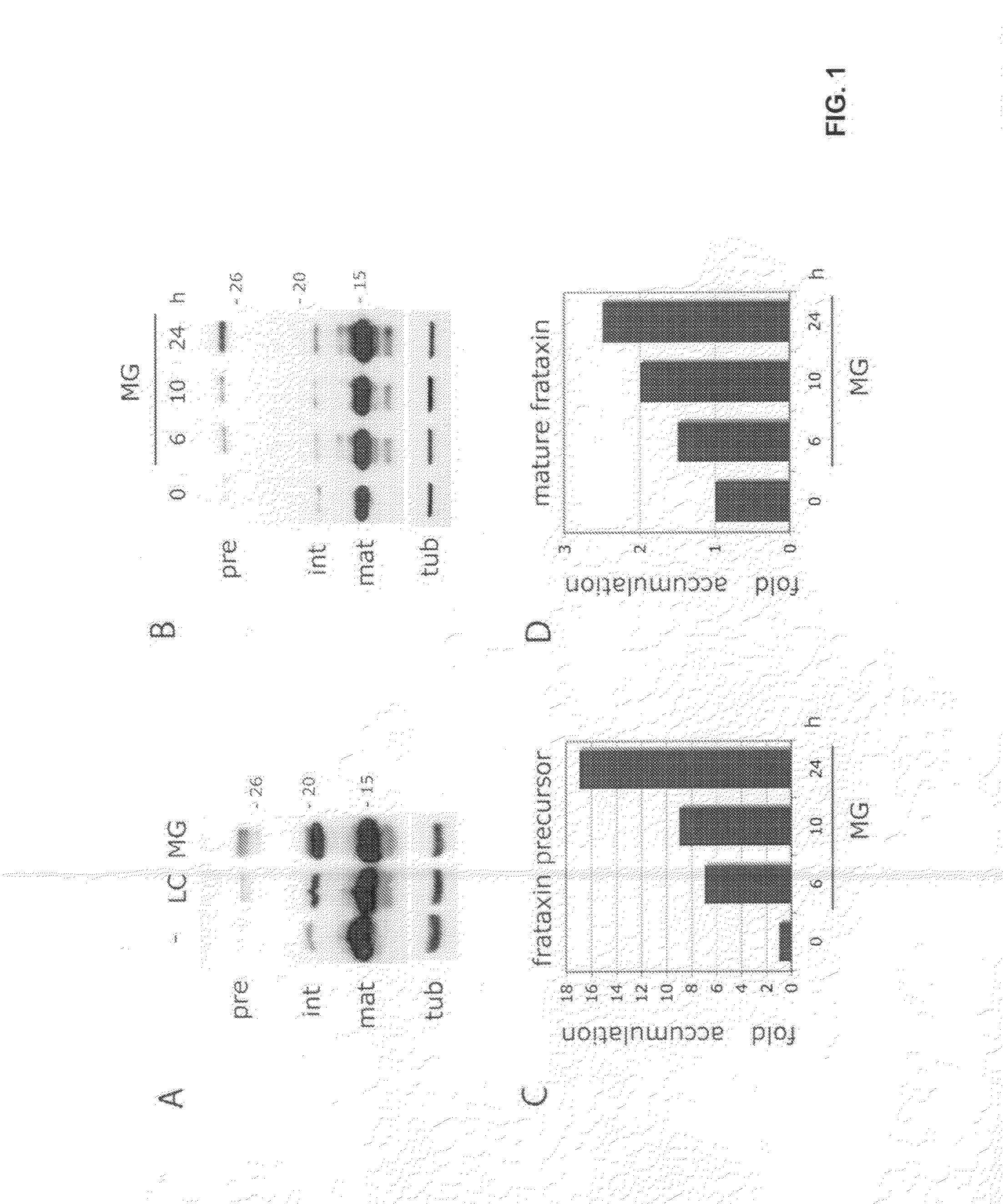 Compositions and methods for treating friedreich's ataxia