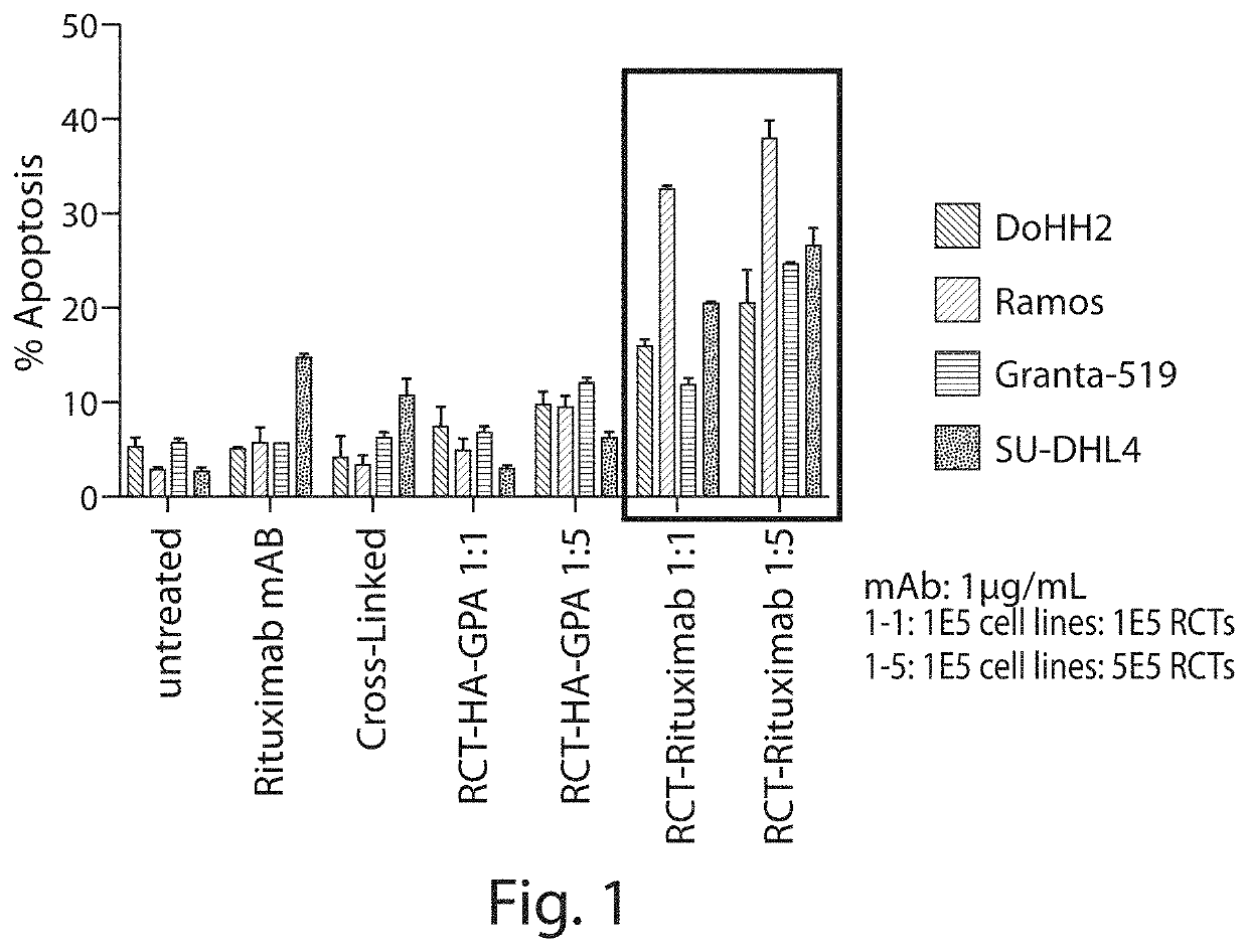 Compositions and methods related to cell systems for penetrating solid tumors