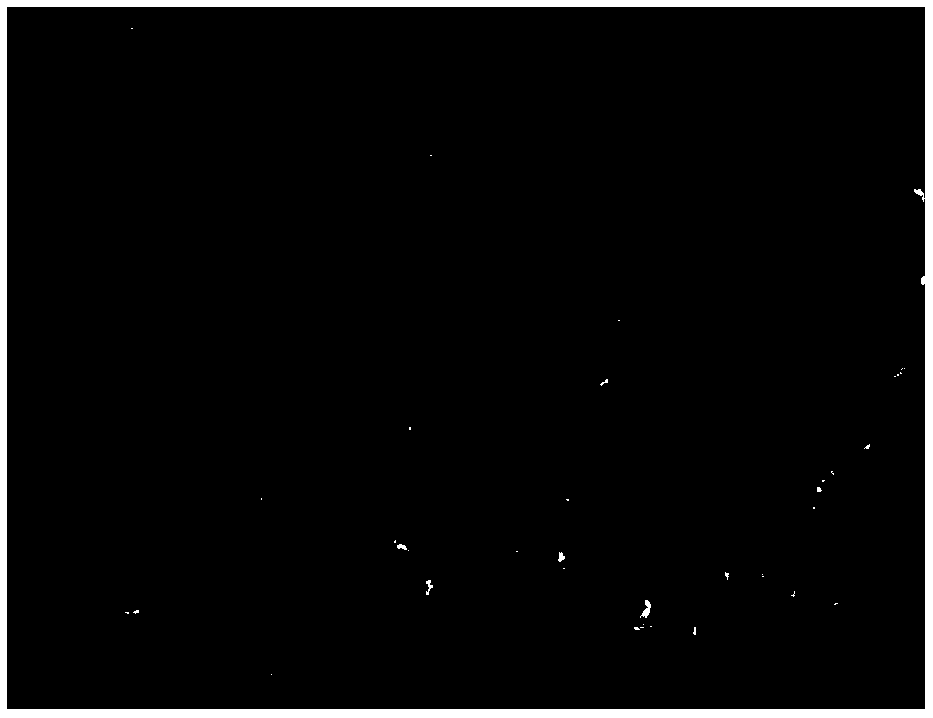 Antibacterial, anti-inflammation and skin-whitening mask and preparation method thereof