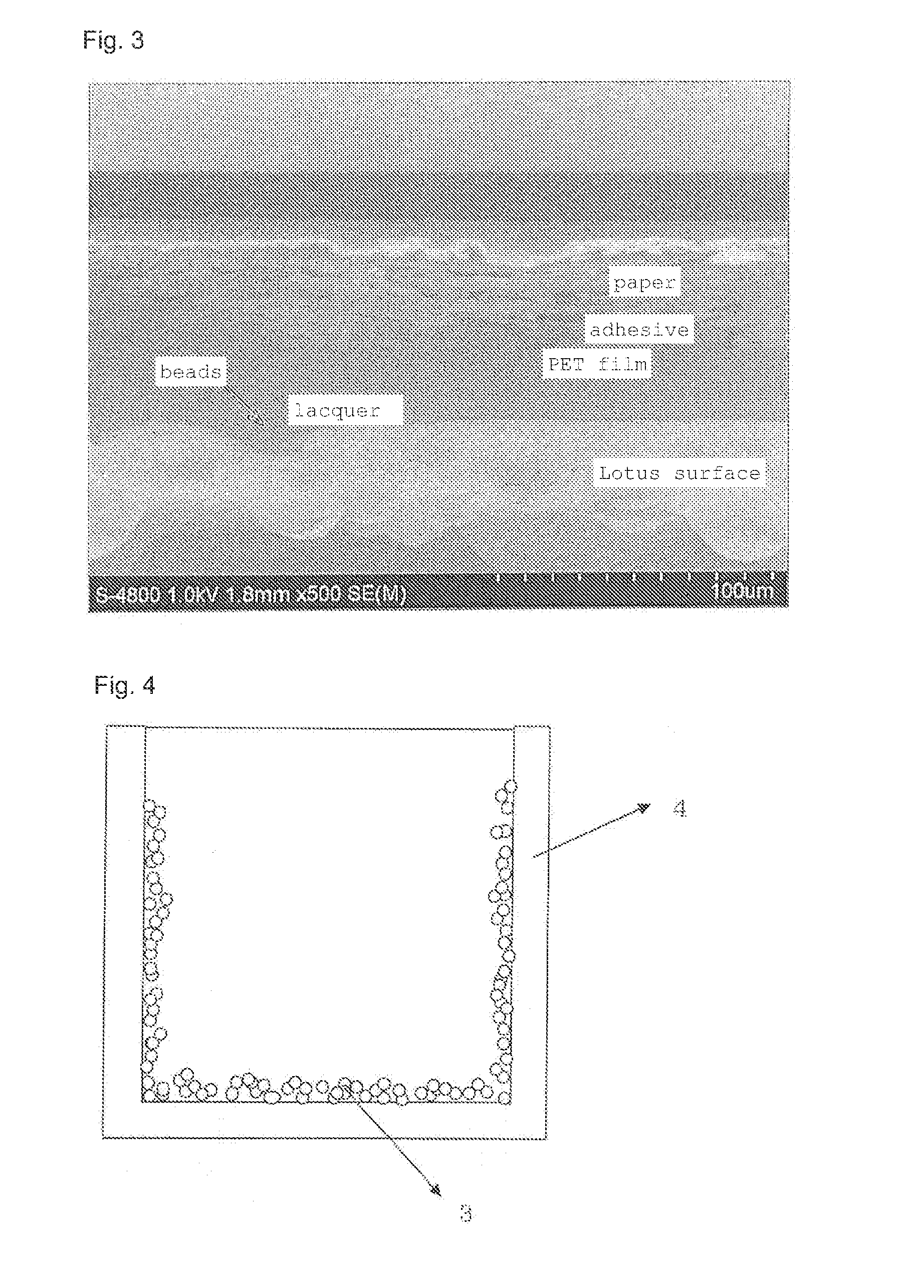 Multilayer body and container