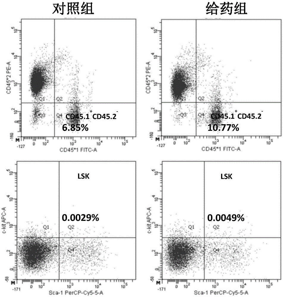 Application of TPO (thrombopoietin) receptor agonist in promoting homing of HSCs (hematopoietic stem cells)