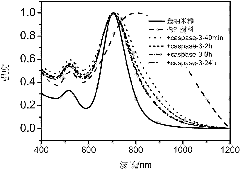 Preparation method and application of functional photoacoustic probe based on assembly of gold nanoparticles