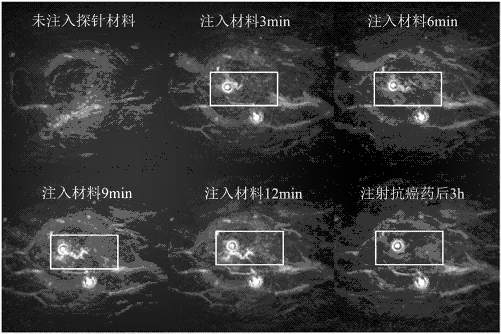 Preparation method and application of functional photoacoustic probe based on assembly of gold nanoparticles