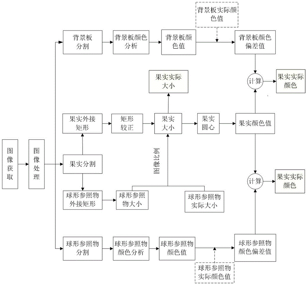 Automatic monitoring system and method for fruit appearance quality