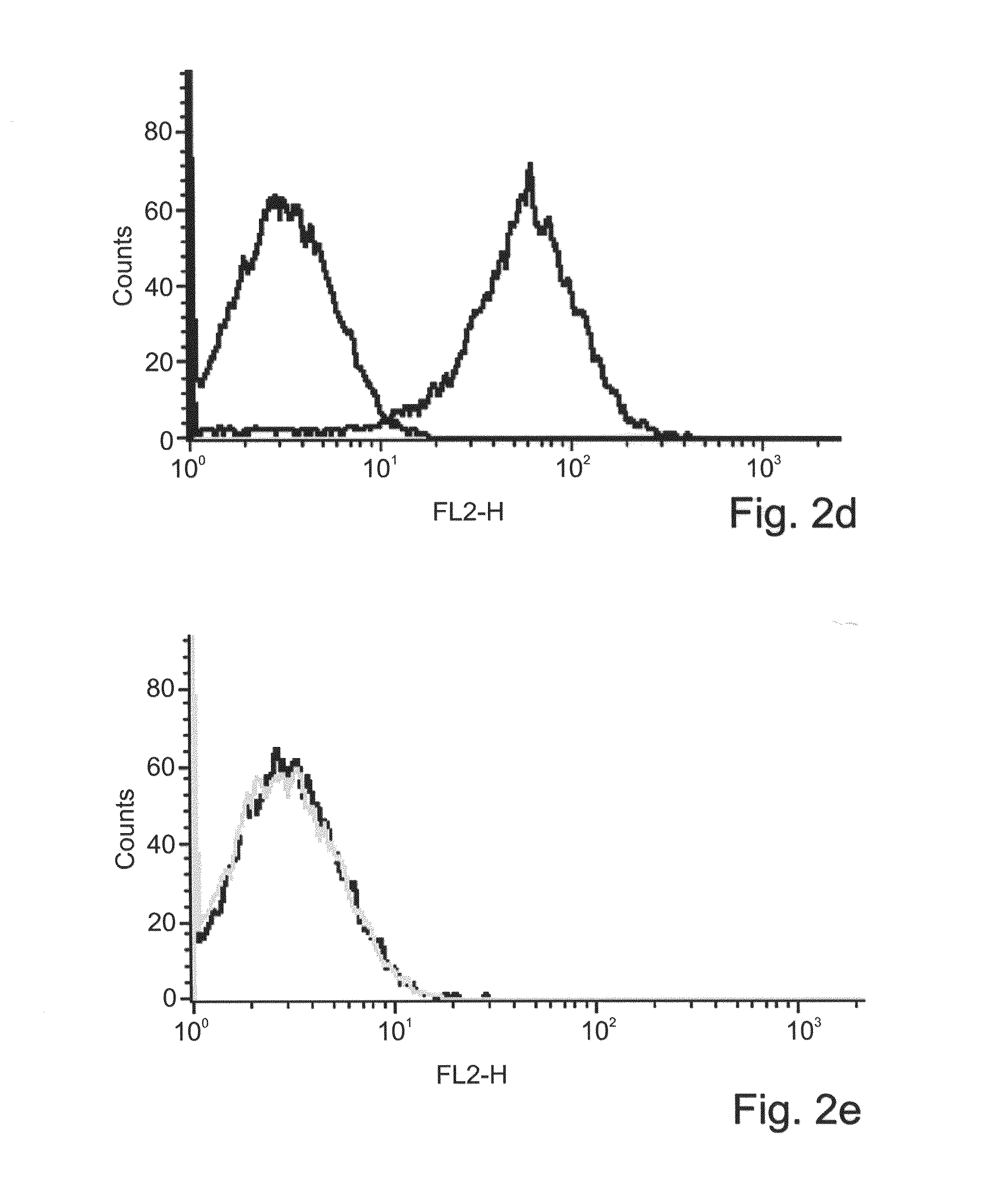 Antibodies, methods and kits for diagnosing and treating melanoma