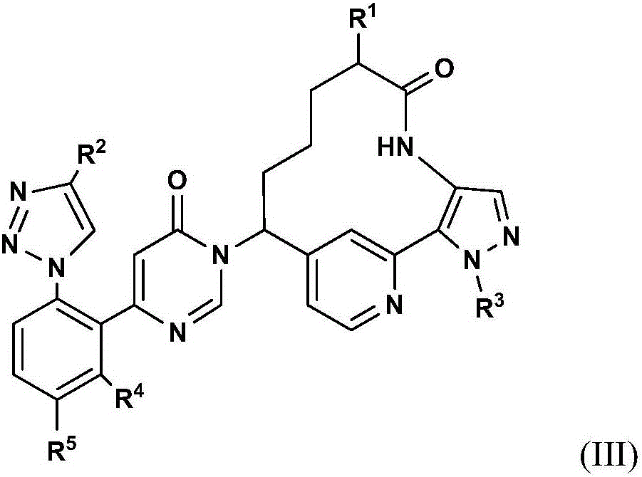 Pyrimidinones as factor xia inhibitors