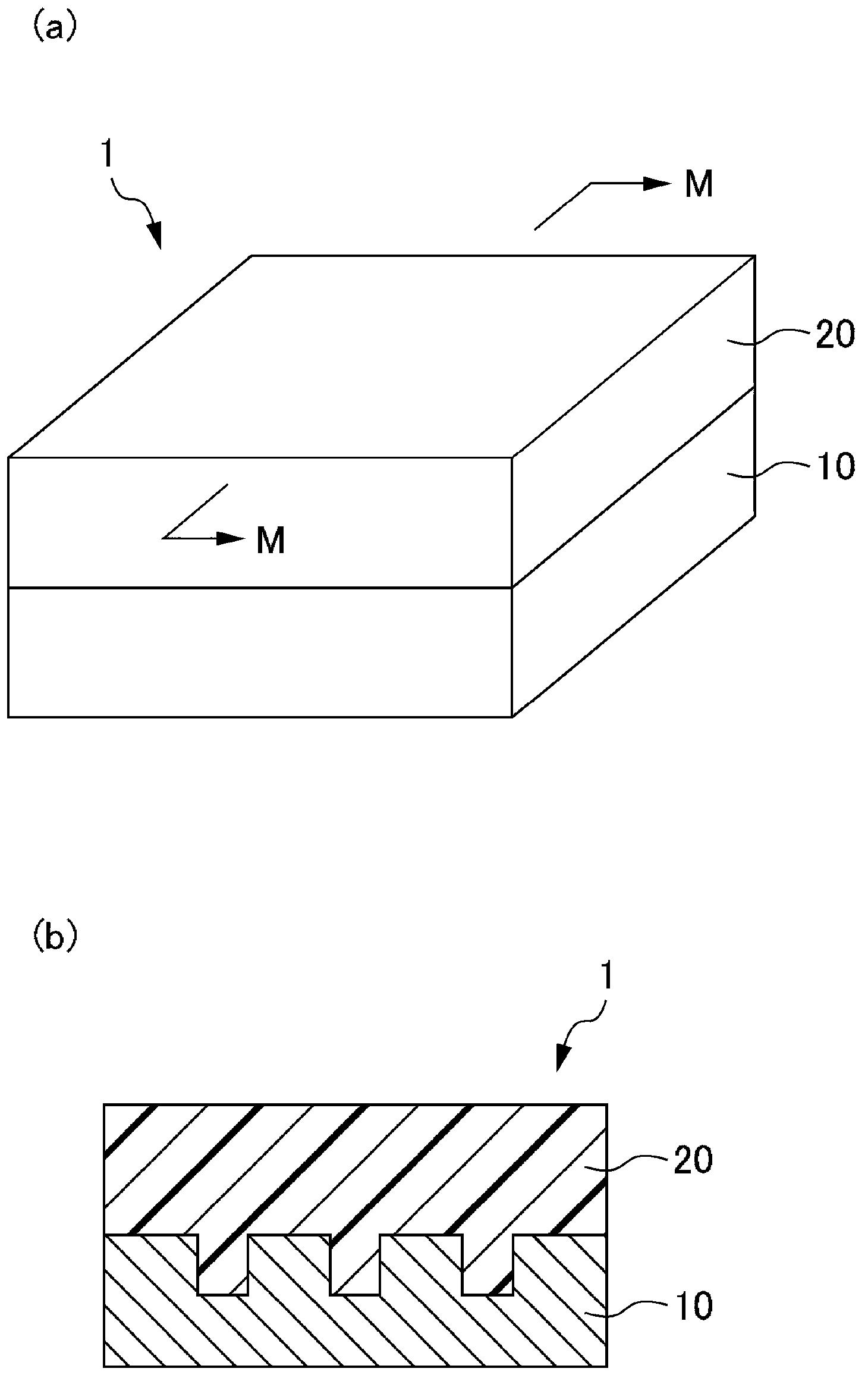 Insert molded body and radiation structure