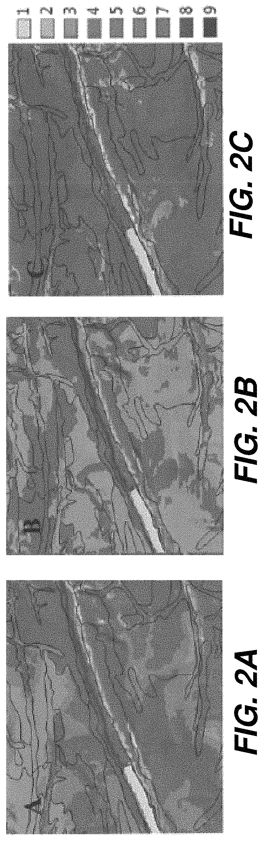 Functional soil maps