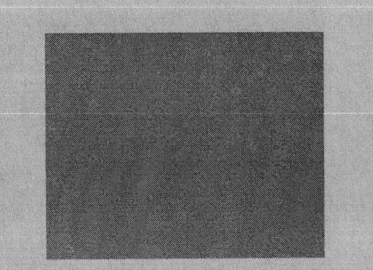 Rabbit intestinal epithelial cell line and preparation method thereof