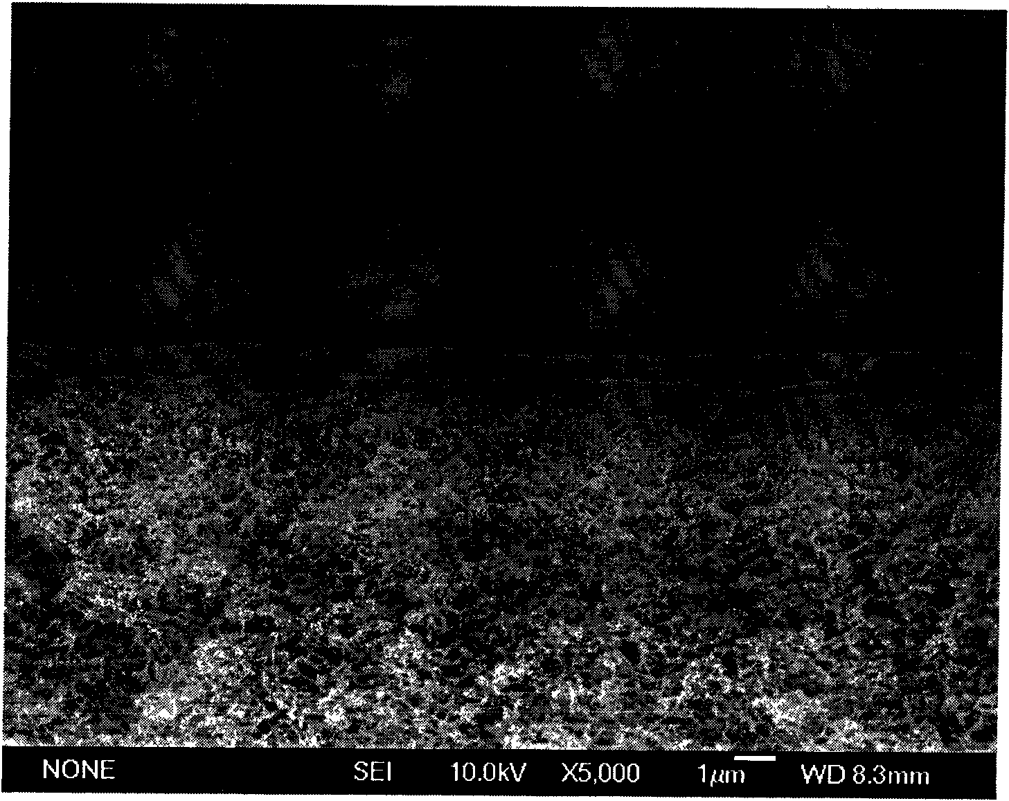 Composite membrane taking carboxylate ion as fixed carrier and preparation method thereof