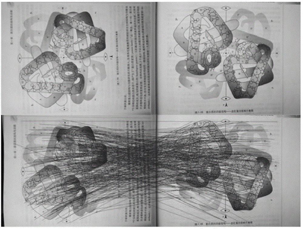 Augmented reality based mobile platform three-dimensional biomolecule display system and method