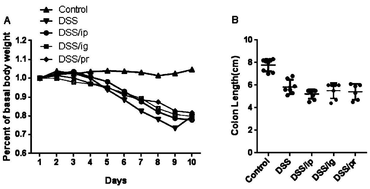 Building method of ulcerative colitis transformation animal model