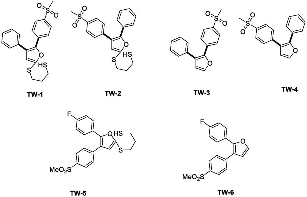 Design and preparation method of novel rofecoxib derivative