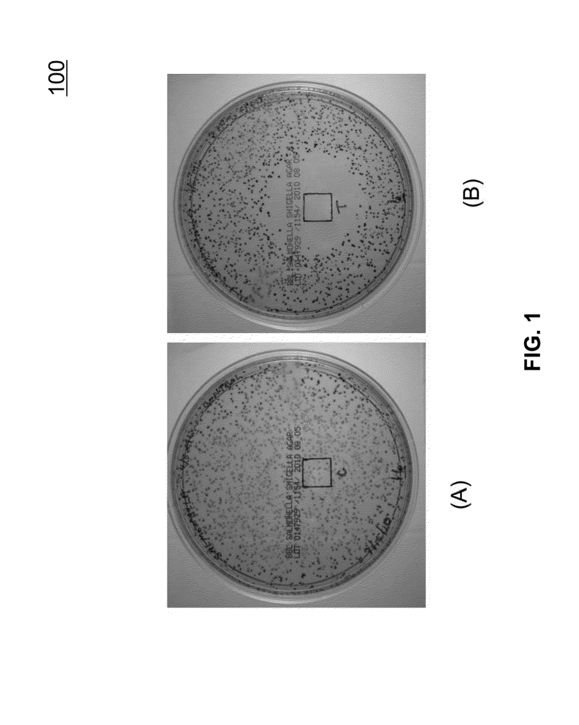 Method and Apparatus for Cold Plasma Food Contact Surface Sanitation