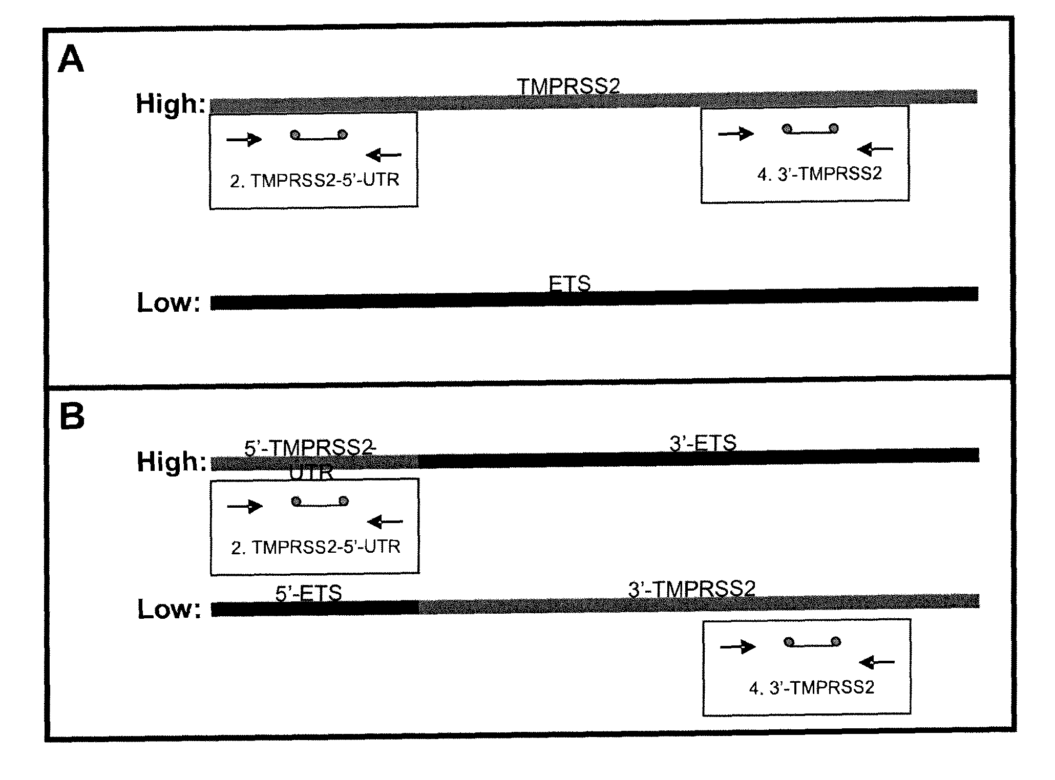 Methods for detecting gene dysregulations