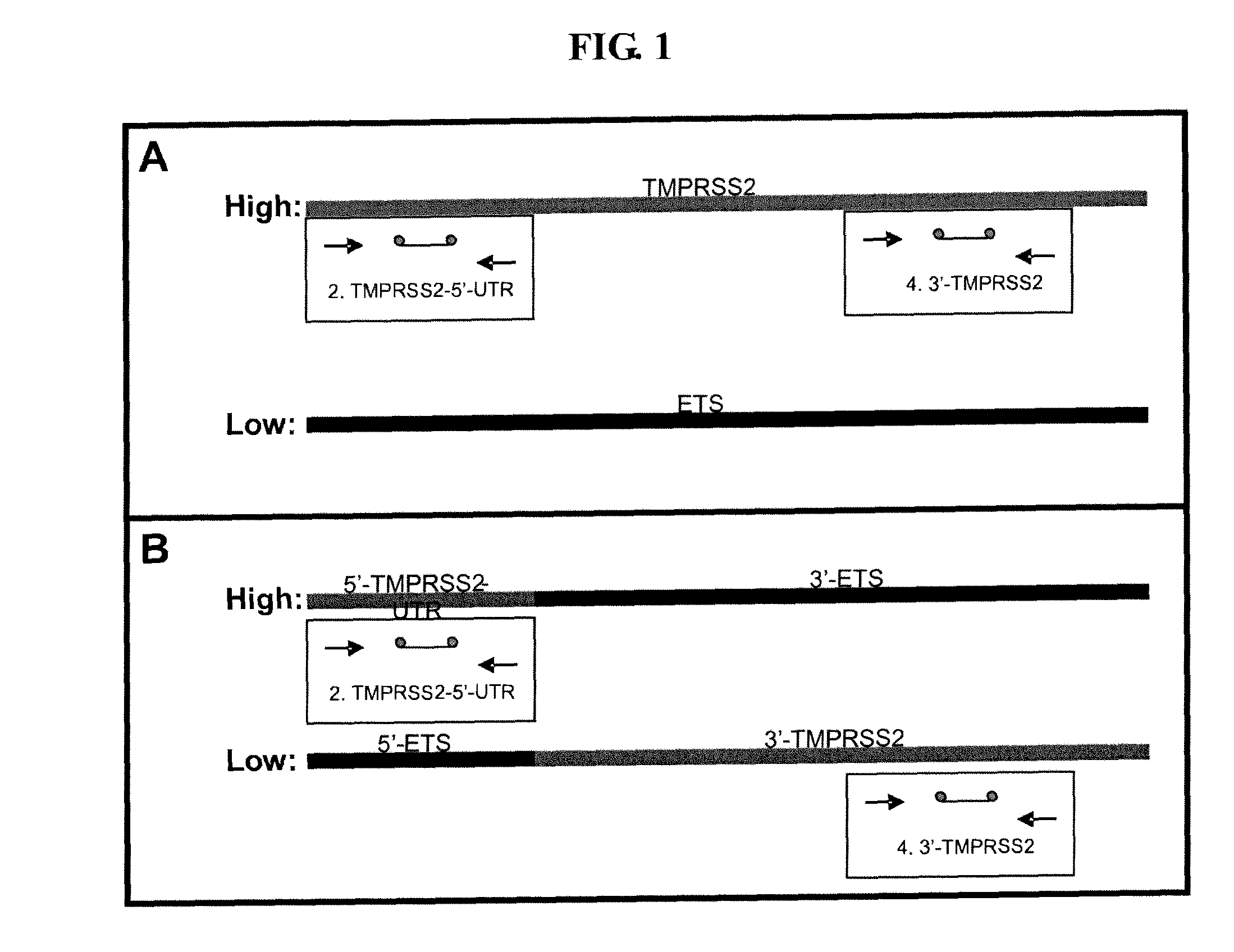 Methods for detecting gene dysregulations