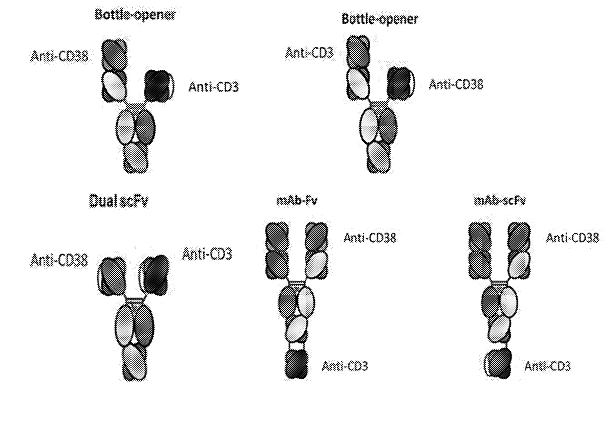 Heterodimeric antibodies that bind cd3 and cd38