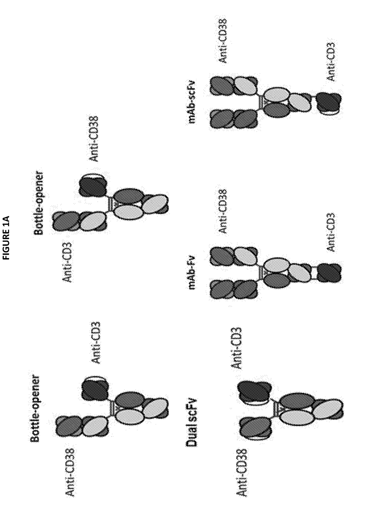 Heterodimeric antibodies that bind cd3 and cd38