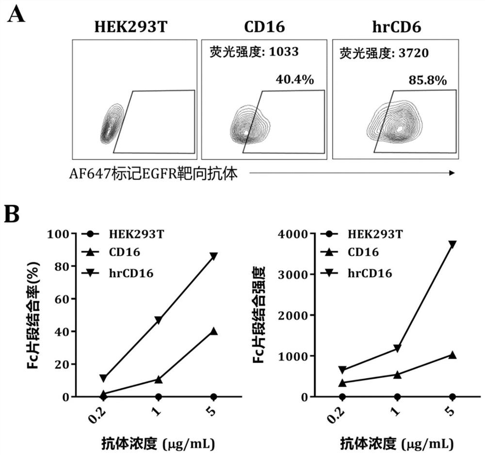 Chimeric receptor and application thereof