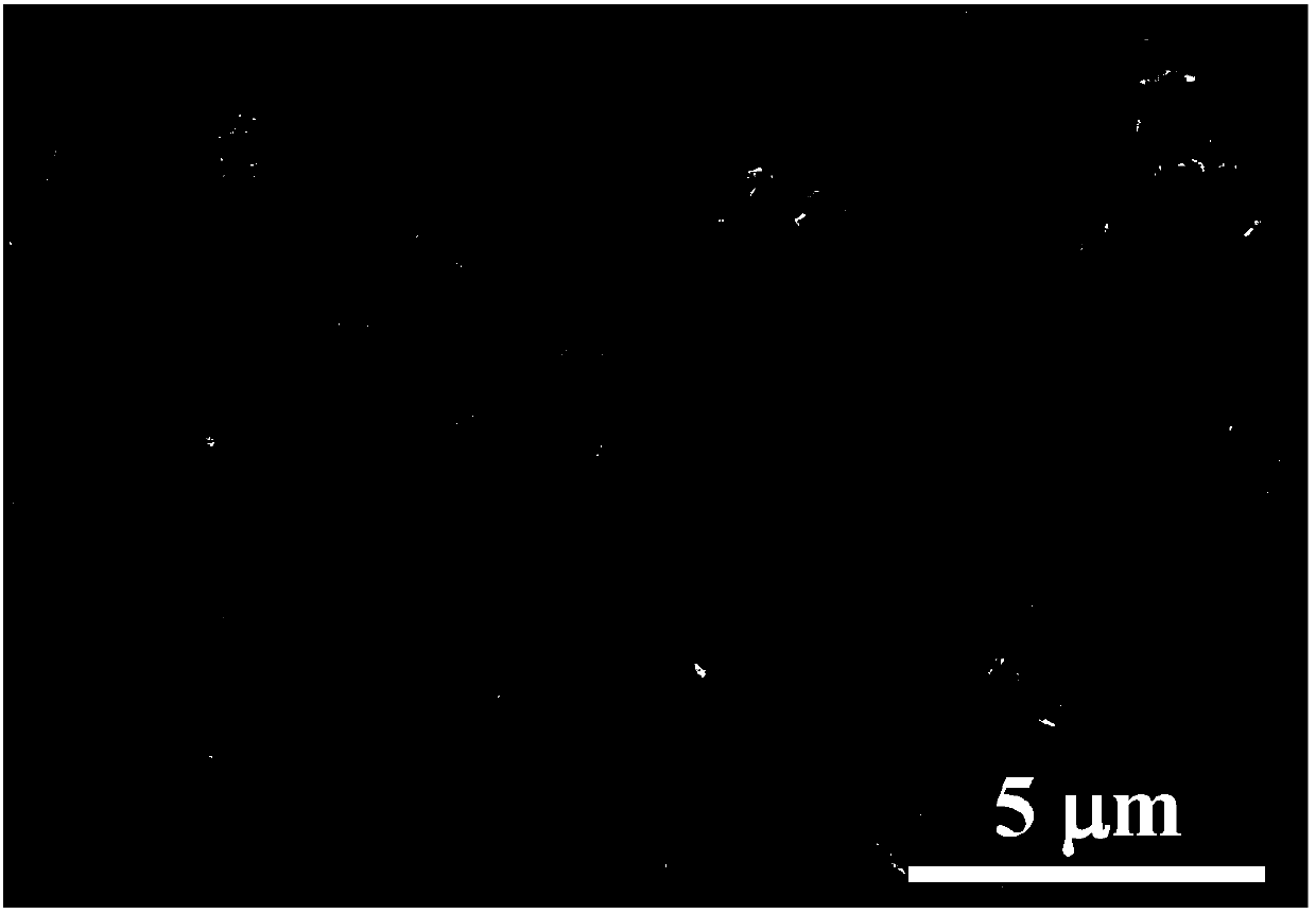 Carbon-coated titanium sodium phosphate composite material and prepared sodium ion battery